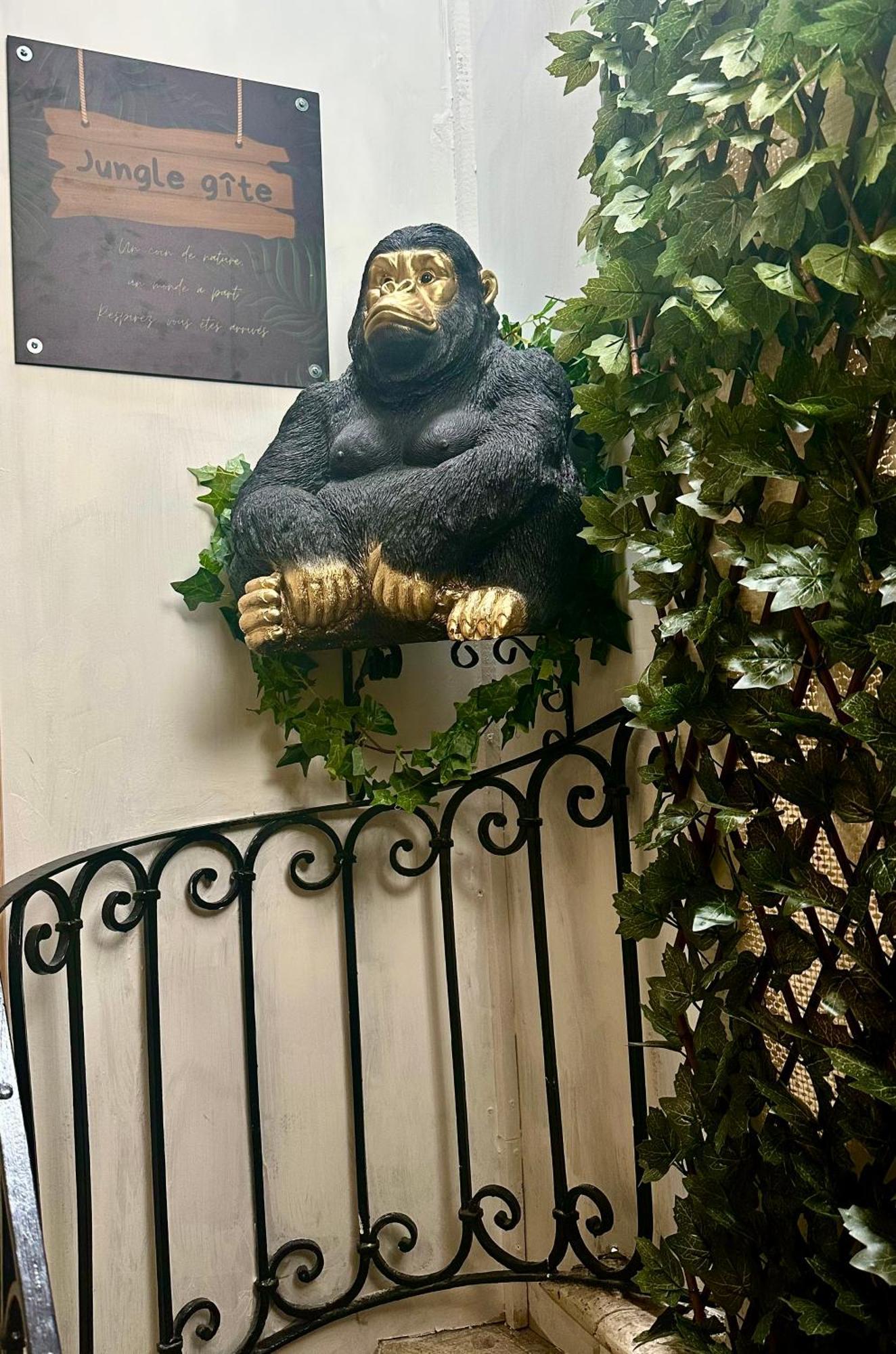 Jungle Appartement *